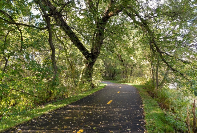 Circuit vélo-piétonnier Rivière aux pins