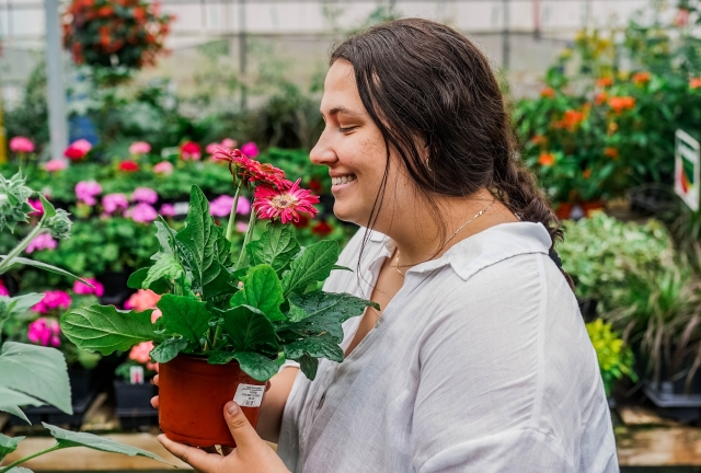 Jardin des Trouvailles Serres & Jardinerie