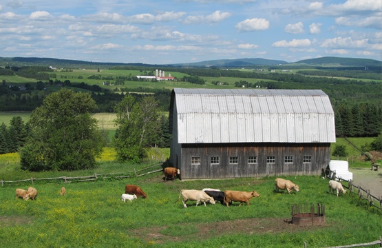Ferme Mario Gadbois